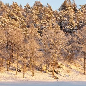 Att lämna Sverige - svårare när det är en bra vinter.