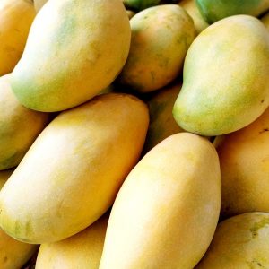 Mangosäsong i Indien